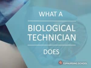 What Does a Biological Technician Do?