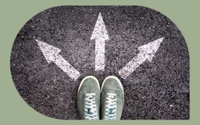 Types of Trade Schools and Career Programs