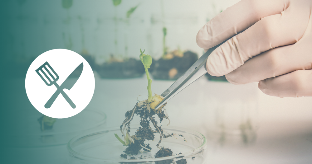 What Is A Food Scientist?