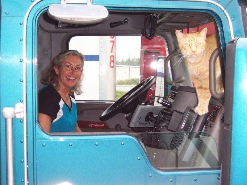 Truckers And Pets: Taking Animals On The Road