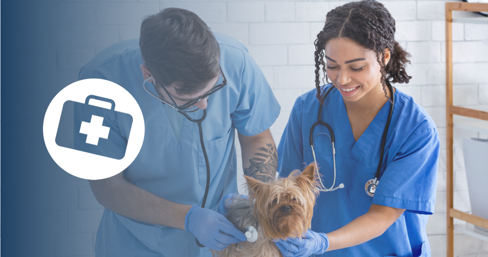 Veterinary Assistant Program and Job Description